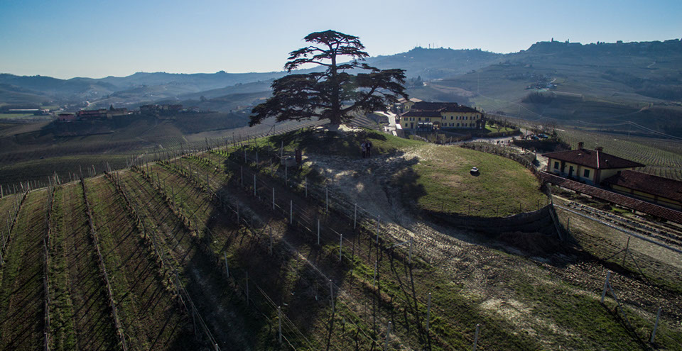 video-drone-piemonte